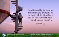 Life of Amusement